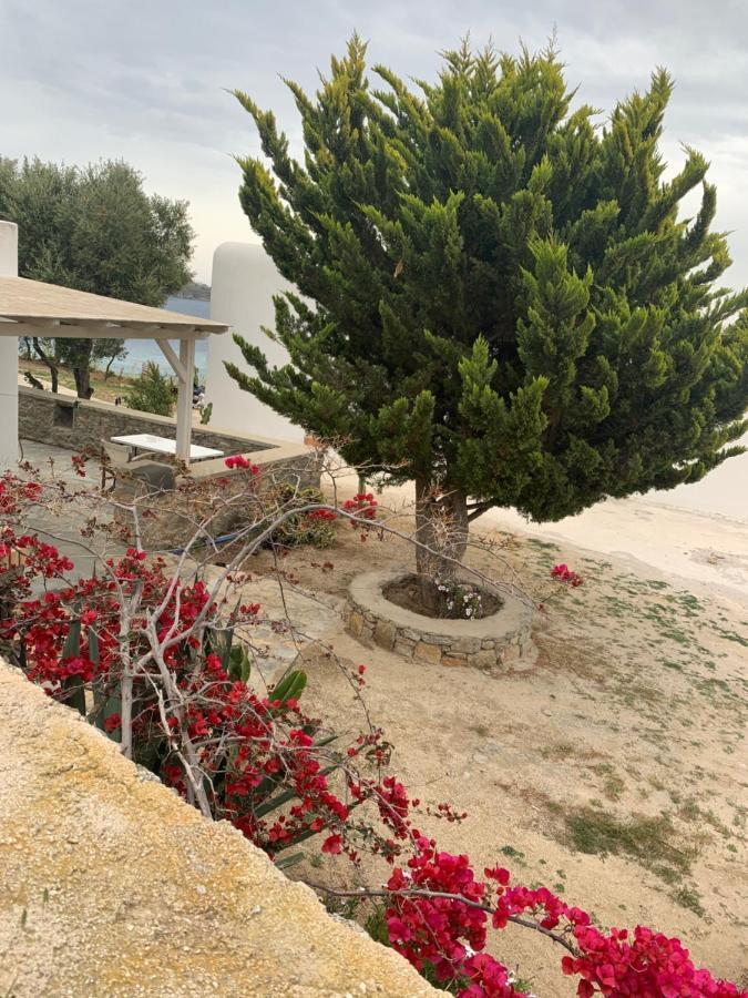 Вилла The Elaia House Mykonos Орнос Экстерьер фото